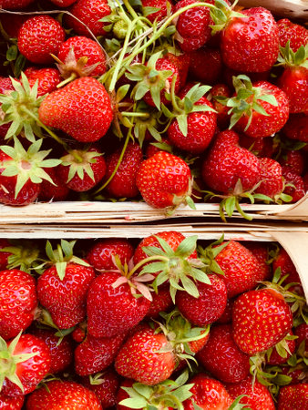 Ripe strawberries ready for eating in wooden boxes. Red ripe strawberries closeup. Selective focus. You can use as the background for any of Your project. High quality photoの写真素材