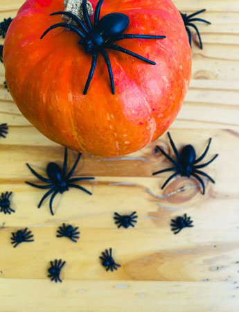 Halloween decoration consisting of pumpkin, plastic spider, artificial spider web and black-orange...