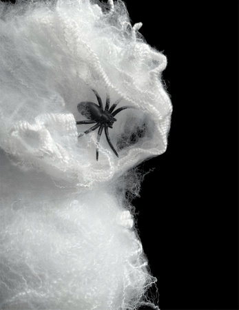 Spider is sitting on persons hand with blurry background. High quality photoの写真素材