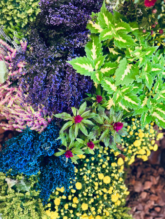 High quality photoの写真素材