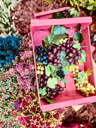Autumn seasonal fruit, organic fruit in wicker basket. High quality photoの写真素材