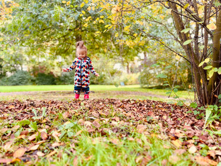 Little girl squats, raking dry fallen leaves into a pile with her hands in the autumn forest. High quality photoの写真素材