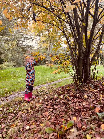 Little girl squats, raking dry fallen leaves into a pile with her hands in the autumn forest. High quality photoの写真素材