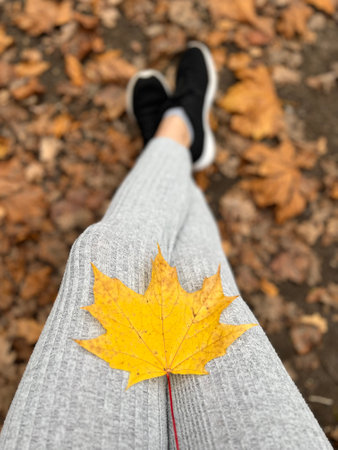 Autumn has come, the yellow leaf lies on the girls lap.の写真素材