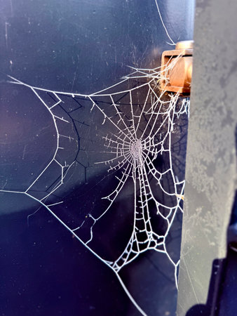 Close up of frozen spider web.