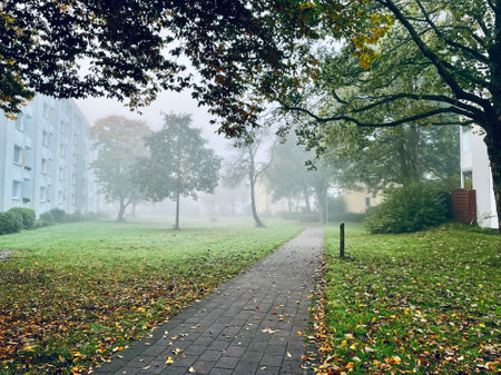 Path through a foggy forest during autumn..の写真素材