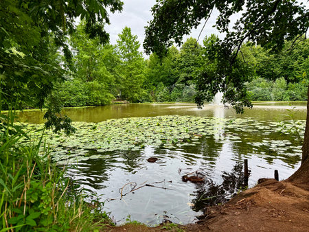Fountain lake in park at golden hours with ducks swimming the the foreground. High quality photoの写真素材