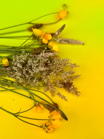 Bouquet with bright yellow flowers in soft natural light. A cheerful floral arrangement symbolizing joy, freshness, and the beauty of blooming nature.の写真素材