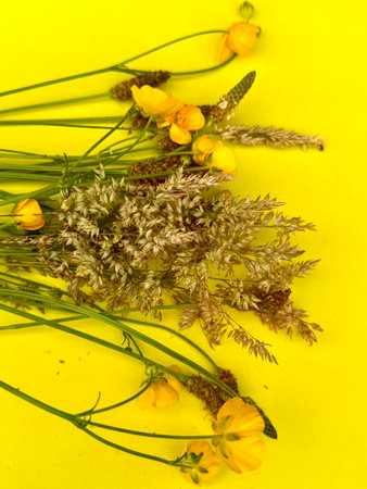 Bouquet with bright yellow flowers in soft natural light. A cheerful floral arrangement symbolizing...