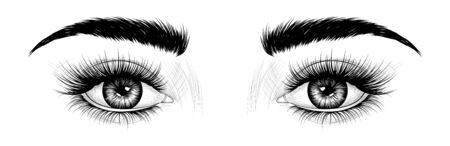 Fashion illustration. Black and white hand-drawn image of eyes with eyebrows and long eyelashes.のイラスト素材