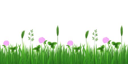 Vector seamless image of green realistic grass, flowers and clover leaves isolated on white.のイラスト素材