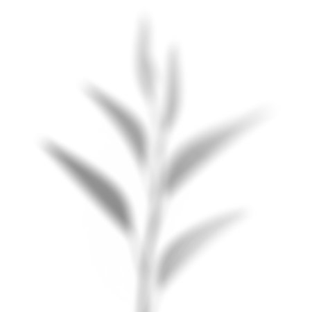 Plant shadow overlay effect. Abstract background with leaves shadows. 3d rendering.