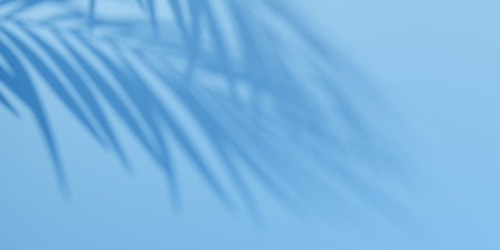 Palm leaf shadow overlay effect. Summer blue background with tropical leaves shadows.