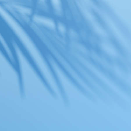 Palm leaf shadow overlay effect. Summer blue background with tropical leaves shadows. 3d rendering.