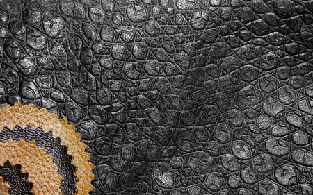 Structure a skin with an ornament