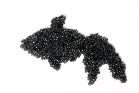 Fish made of caviar.の写真素材