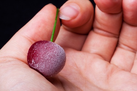 Frozen sweet cherry in palm.の写真素材