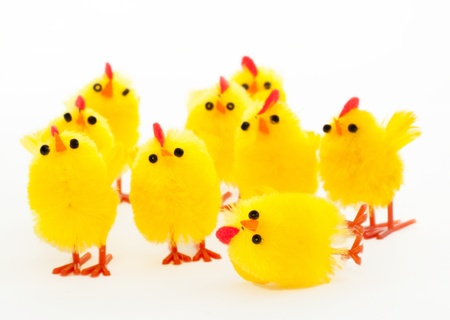group of easter toys of chickens and the fallen leaderの写真素材