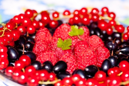 plate with berries of raspberry, a currant and bilberryの写真素材