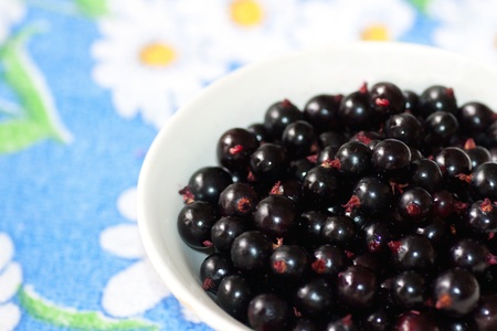 berries of a black currant on a dark blue background with flowers