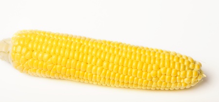 Grains of ripe appetizing corn.の写真素材