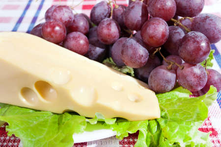 Cheese, ripe grapes and lettuceの写真素材