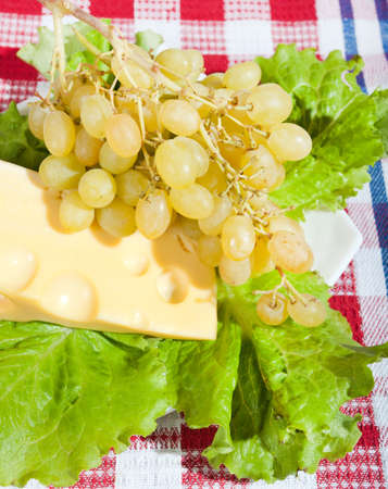 Cheese, ripe grapes and lettuceの写真素材