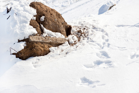 snow-covered pile of earthの写真素材