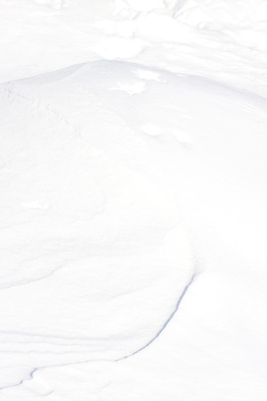 Frosty winter. White, powdery snowの写真素材