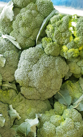 Group of fresh broccoli close up.の写真素材