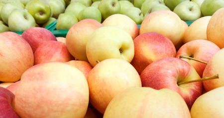Many red and green apples stretching into the distance as a backgroundの写真素材