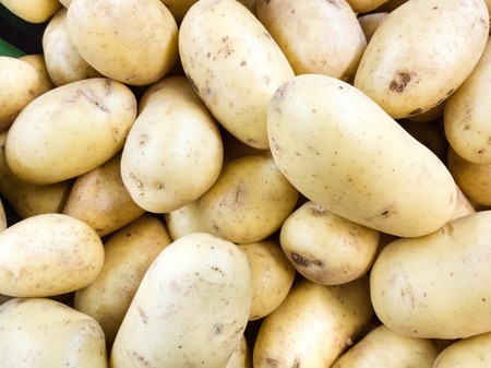 Close-up of a fresh raw potatoes backgroundの写真素材