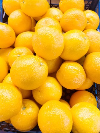 Fresh mandarin oranges texture closeupの写真素材