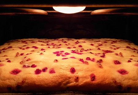 Apricot berry sponge cake is baked in the oven. home festive baking. food close-up background.の写真素材