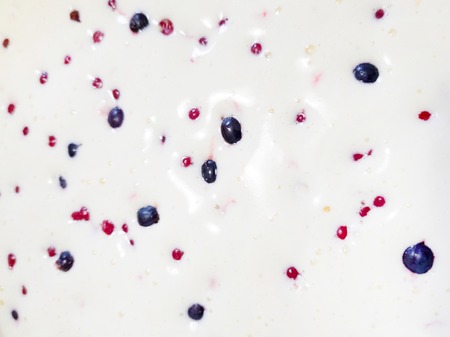 Berry Biscuit Pie before Baking. homemade pastry abstract background .の写真素材