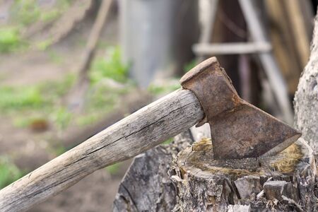 An old ax stuck in a tree with a bokeh effect. Iron ax built into an old stumpの写真素材