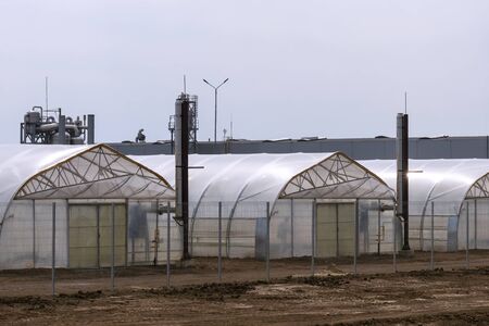 The facade of the greenhouse complex next to the vegetable factory. Growing organic products all year round. The appearance of a commercial greenhouse.の写真素材