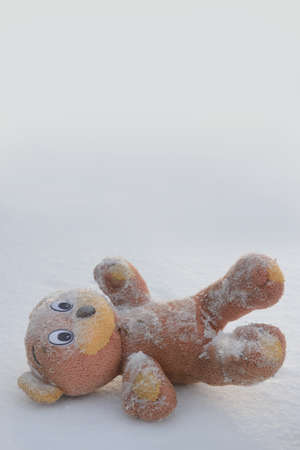 Soft toy bear lost in snow in winter. Concept of uselessness, past childhood.の写真素材