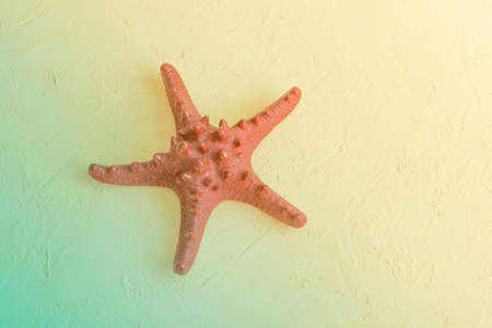 Large red starfish on textured background. Beach vacation concept, travel. Toned photo, selective focus, fog view.の写真素材