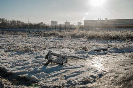 A snowy field in a winter morning glitters from the sun's bright lightの写真素材