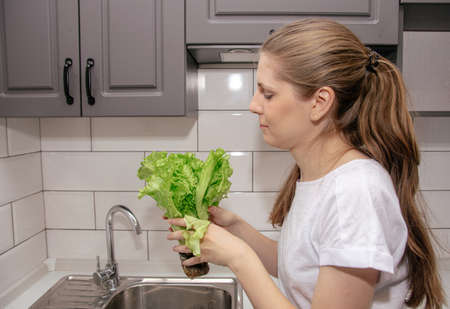 Young brunette girl trying to bite the leaves of fresh green salad in the kitchen by the sinkの写真素材