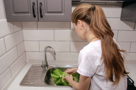 Young brunette girl washes green leaves of fresh salad in the sink for cookingの写真素材