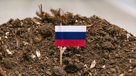 The Russian flag on a toothpick is inserted into the soil of the earthの写真素材
