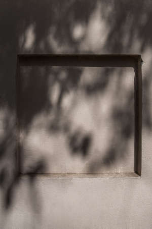 Shadows from a tree on a wall