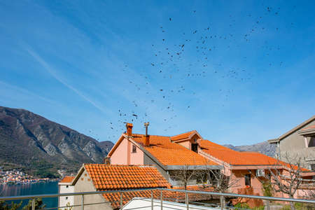 View of the sea, mountains and birdsの写真素材