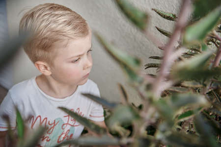 The child takes care of the plantの写真素材