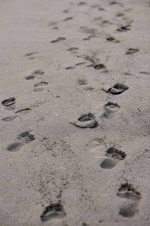 Footprints in the sand in grey color, vertical image