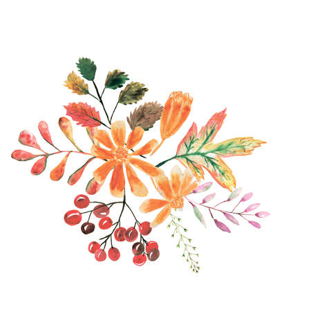 Watercolor composition. Autumn illustration.の写真素材