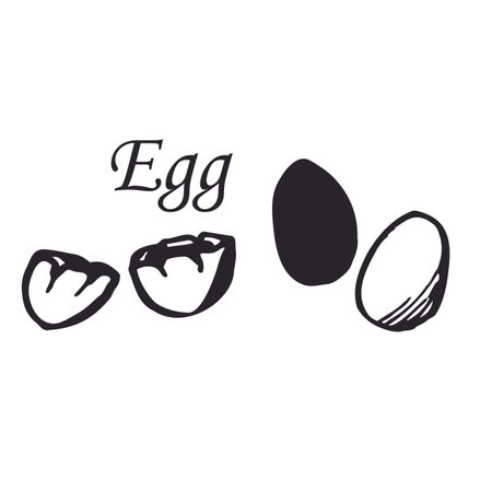Vector set of egg in line art style. Sketch. Isolated on white background. Isolated.のイラスト素材