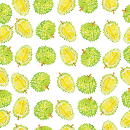 Watercolor seamless durian pattern on a white background. Hand drawn fresh food design elements.の写真素材